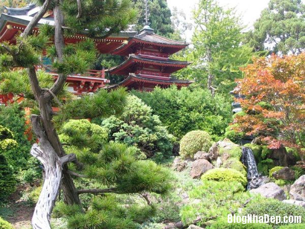 45b6283ee545372ed66d848f8323fc5f Những khu vườn thanh lịch mang phong cách Nhật Bản